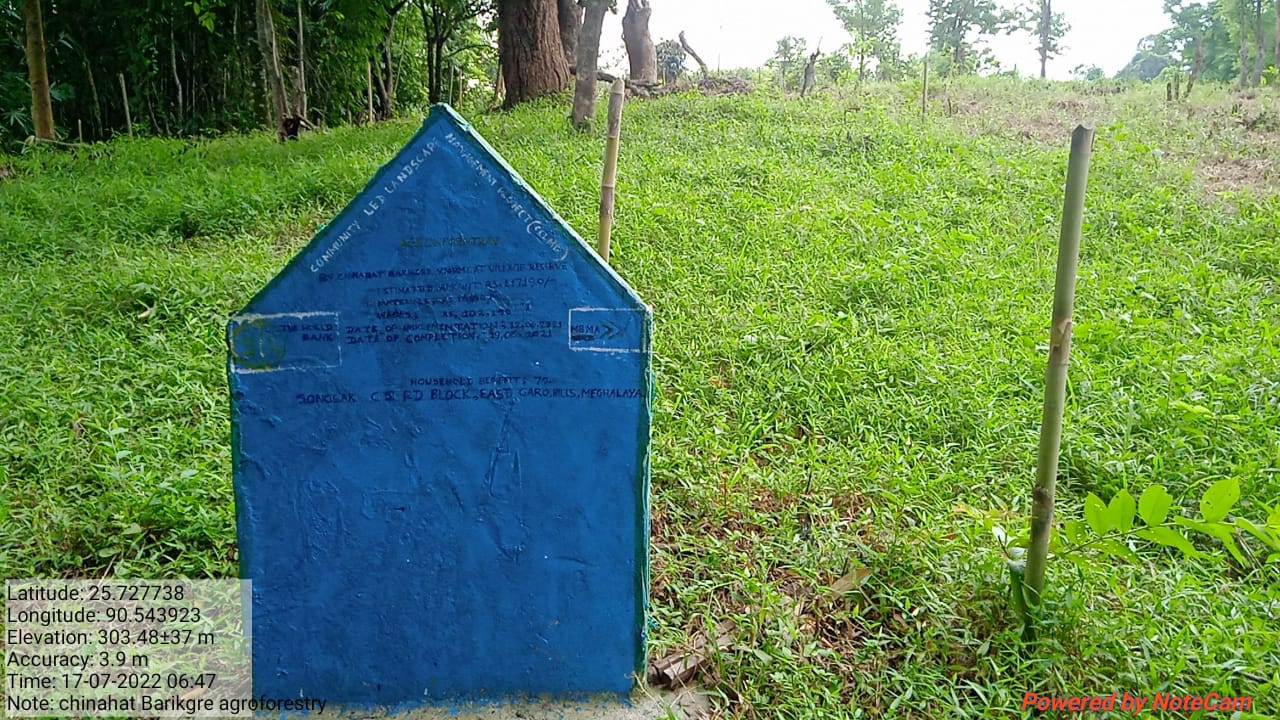 Chinabat Barikgre, Agro-forestry